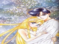 Bishoujo Senshi Sailor Moon - 48
