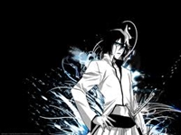 Bleach - 29