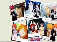 Bleach - 39