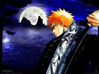 Bleach - 5