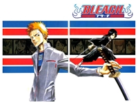 Bleach - 9