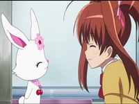 Jewelpet Tinkle - 24