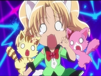 Jewelpet Tinkle - 46