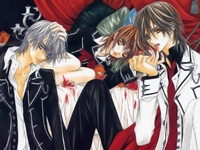 Vampire Knight - 11