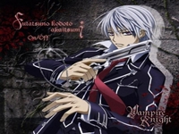 Vampire Knight - 8