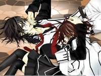 Vampire Knight - 9