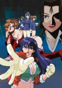 Shin Ban Megami Tantei Vinus File